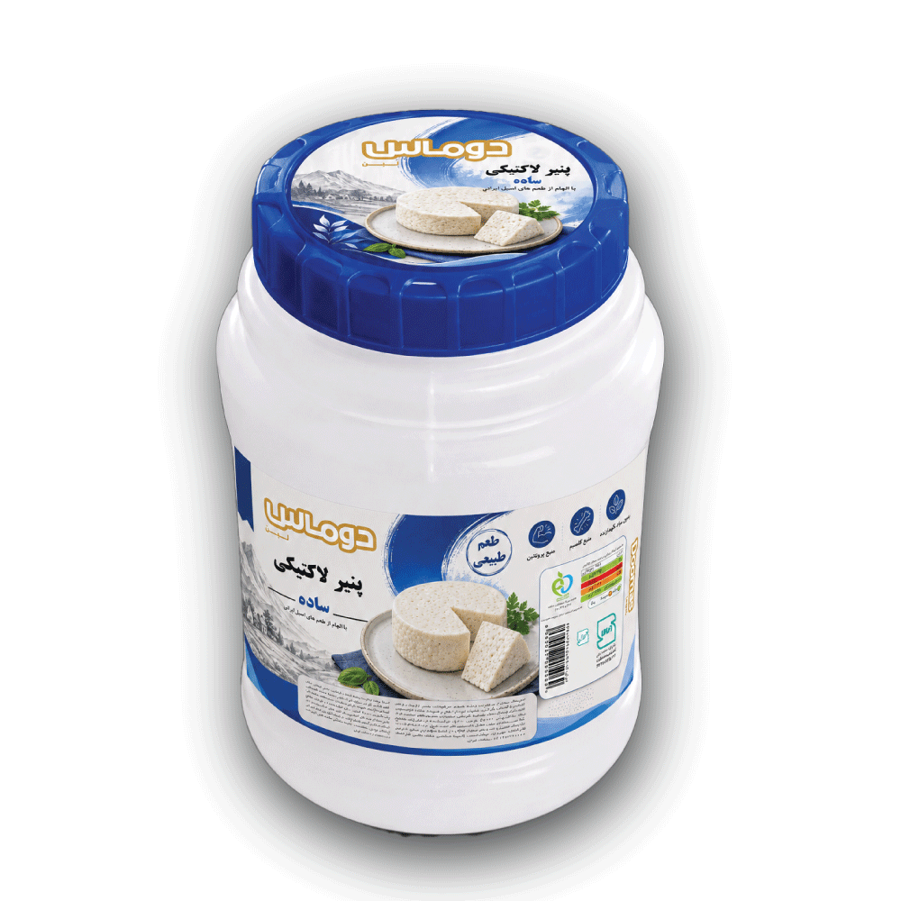 پنیر لاکتیک 1100 گرمی