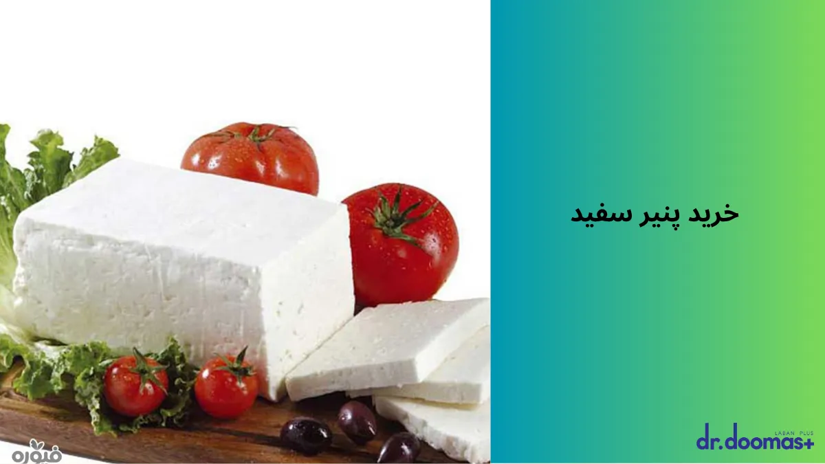 خرید پنیر سفید