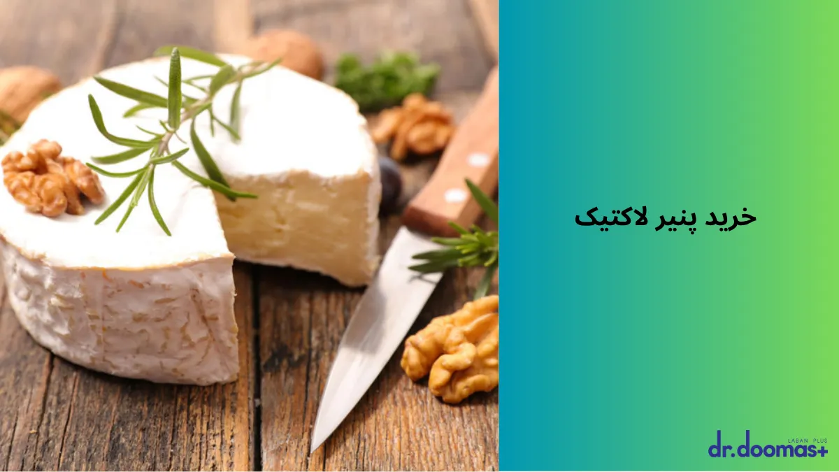 خرید پنیر لاکتیک