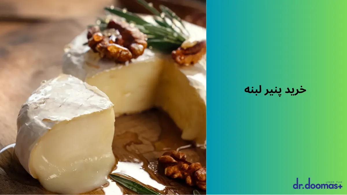 خرید پنیر لبنه
