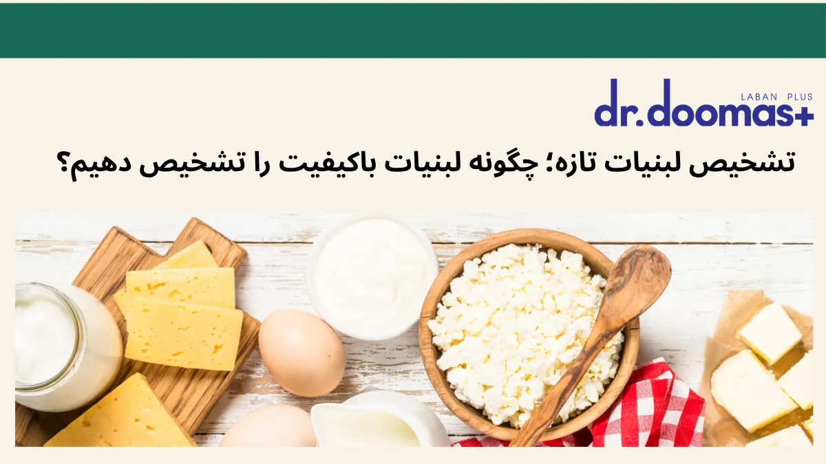 تشخیص لبنیات تازه؛ چگونه لبنیات باکیفیت را تشخیص دهیم؟