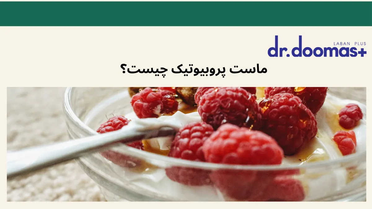 ماست پروبیوتیک چیست؟